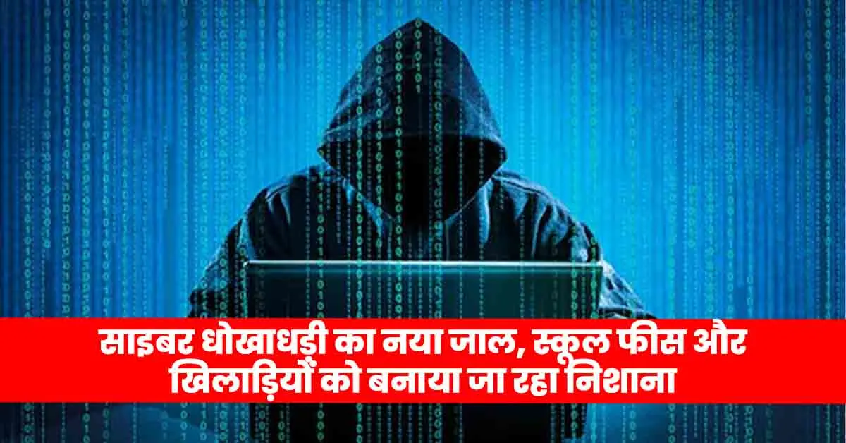 new web of cyber fraud