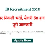 IB Recruitment 2025