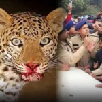 Corbett Tiger Reserve News