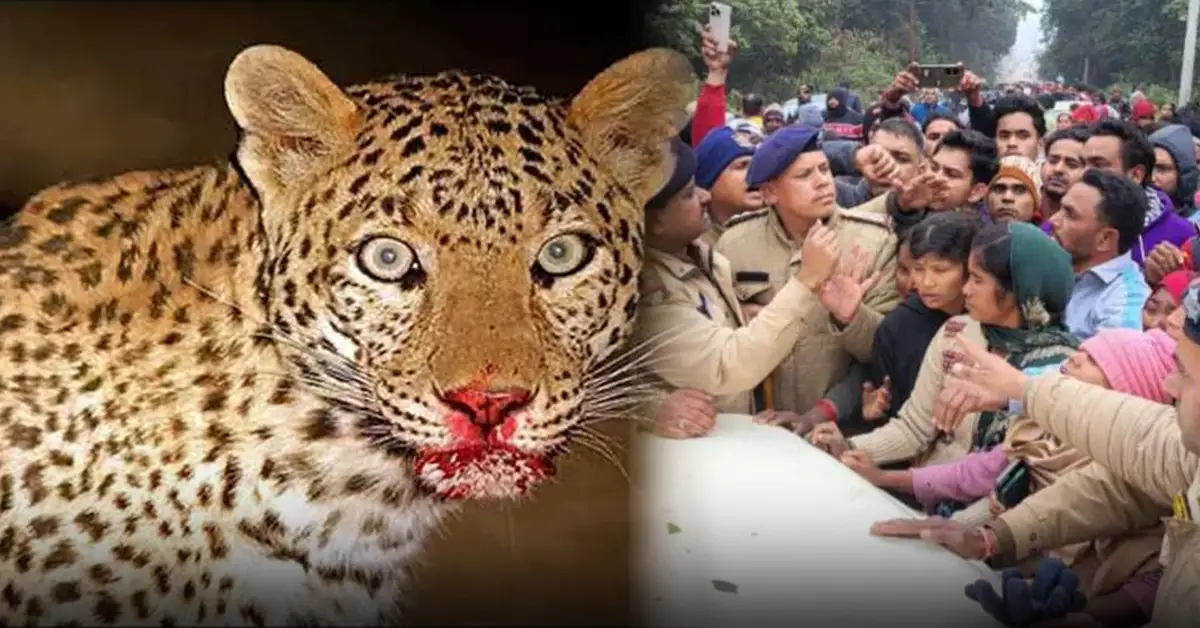 Corbett Tiger Reserve News